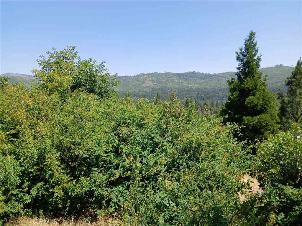 Vacant Land For Sale - Astoria<br/> Concow, CA 95965