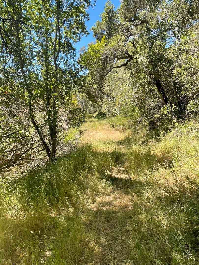 Vacant Land For Sale - Crystal Springs Rd<br/> Hillsborough, CA 94010