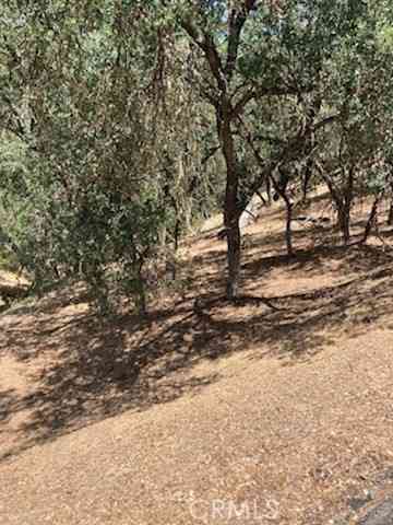 Vacant Land For Sale - 2668 Pine Ridge Road<br/> Bradley, CA 93426