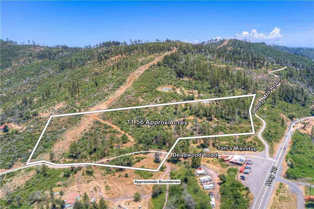 Vacant Land For Sale - 12059 Andy Mountain Road<br/> Oroville, CA 95965