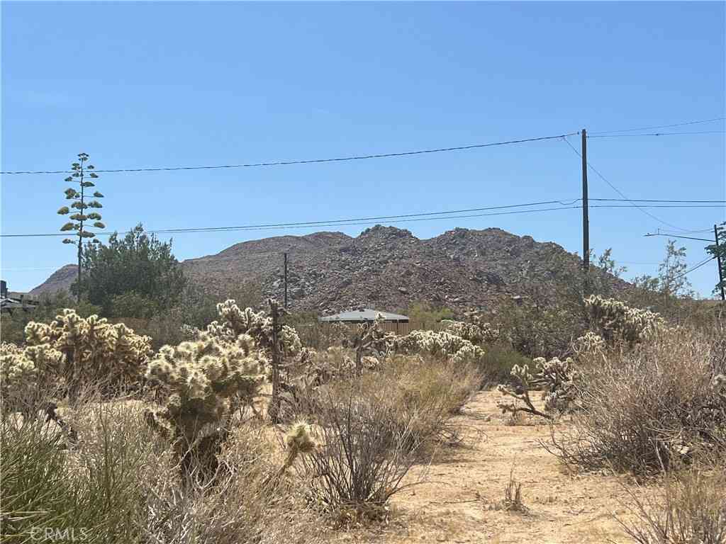 Vacant Land For Sale - 61891 El Reposo Circle<br/> Joshua Tree, CA 92252