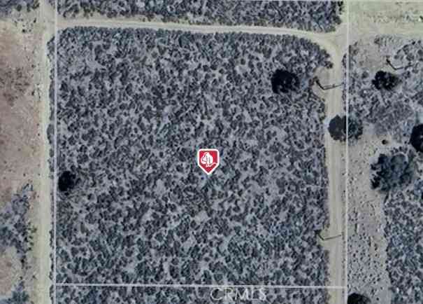Vacant Land For Sale - 12345 Boy Scout Road<br/> Frazier Park, CA 93225
