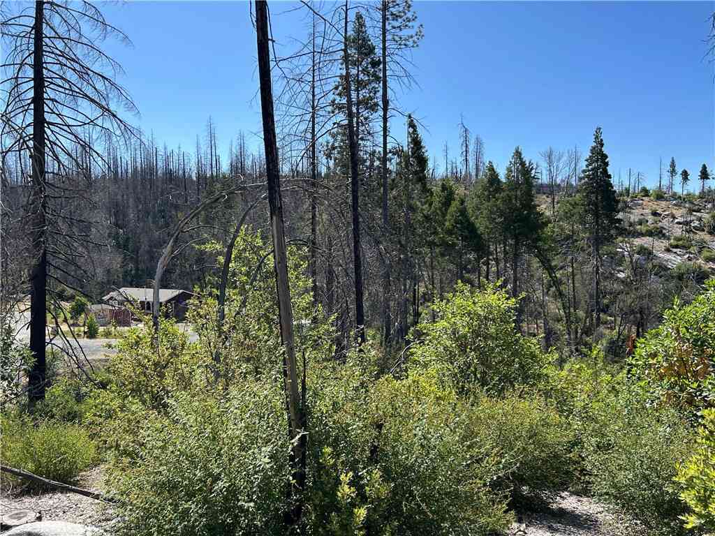 Vacant Land For Sale - Oak Drive<br/> Berry Creek, CA 95916