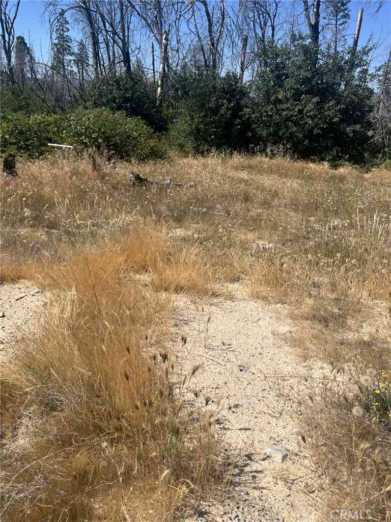 Vacant Land For Sale - 130 Simpson Ranch Road<br/> Berry Creek, CA 95916