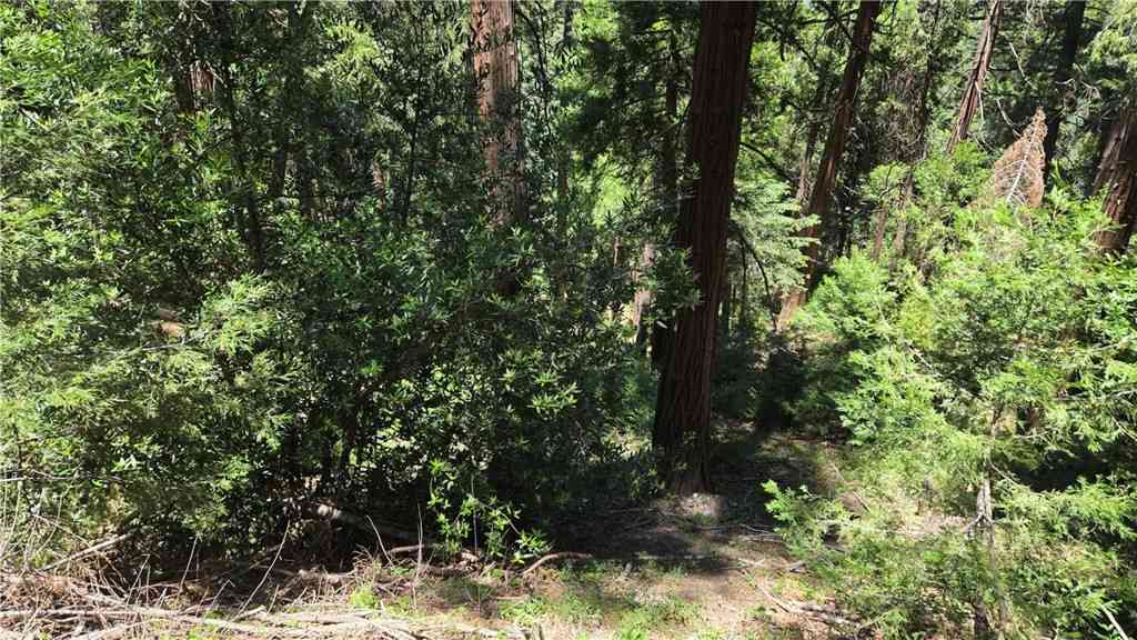 Vacant Land For Sale - Deer Run Road<br/> Cedarpines Park, CA 92322