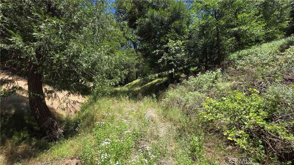 Vacant Land For Sale - Mojave River Road<br/> Cedarpines Park, CA 92322