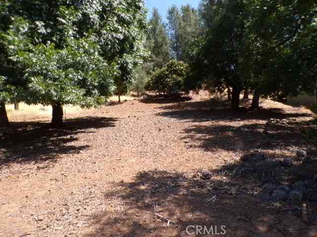 Vacant Land For Sale - 10318 Hok Has Ha Lane<br/> Kelseyville, CA 95453