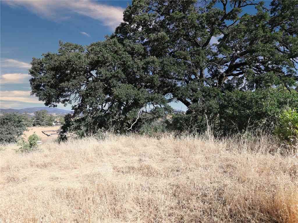 Vacant Land For Sale - 2425 Greeley Street<br/> Nice, CA 95464