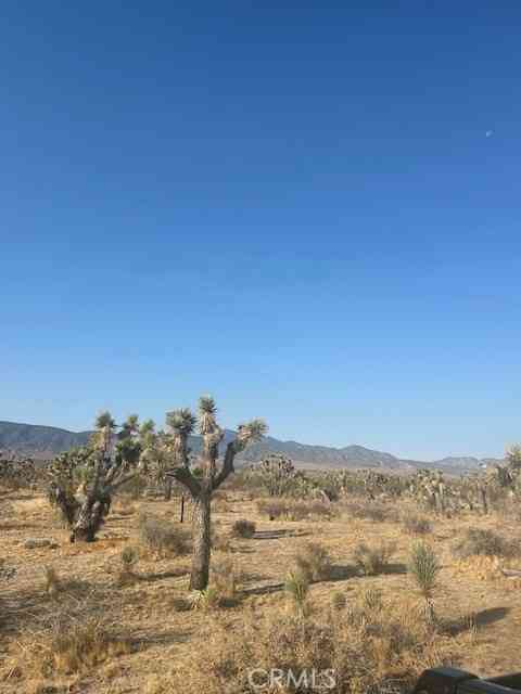 Vacant Land For Sale - E Ave W 8 Street<br/> Palmdale, CA 93591