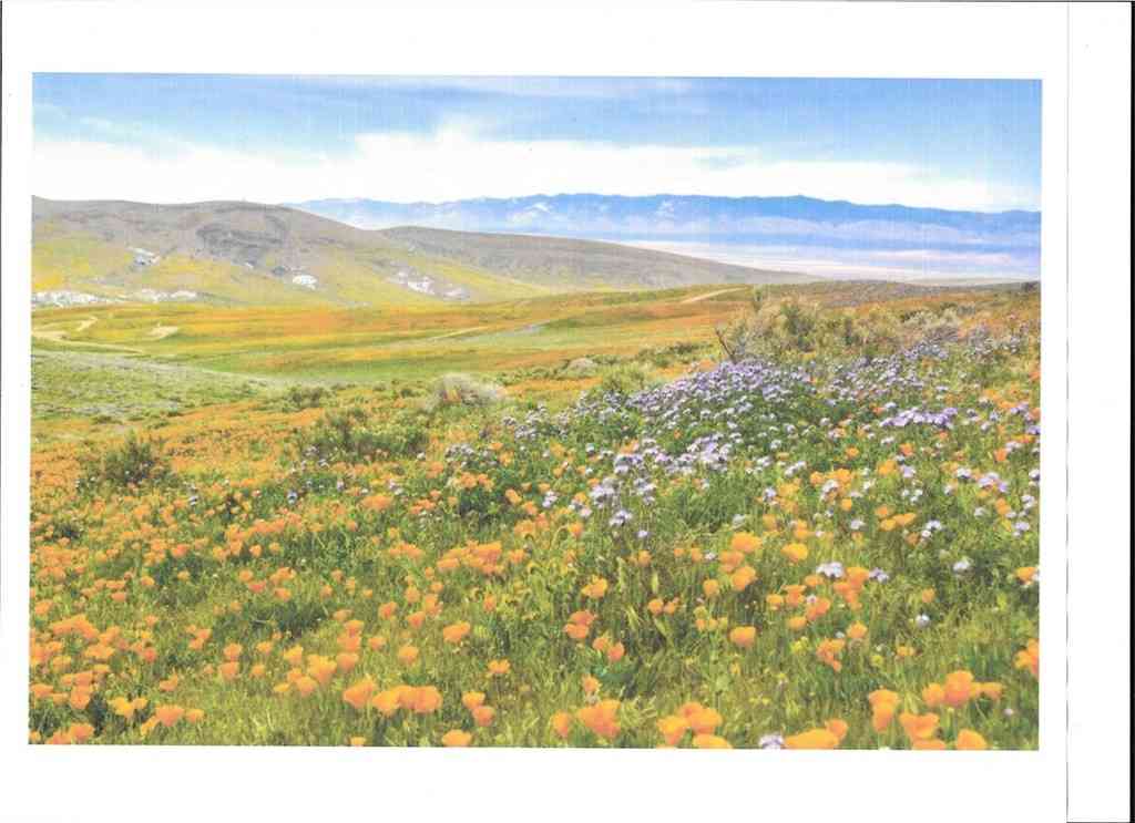 Vacant Land For Sale - Cooperstown Rd<br/> California Valley, CA 93453