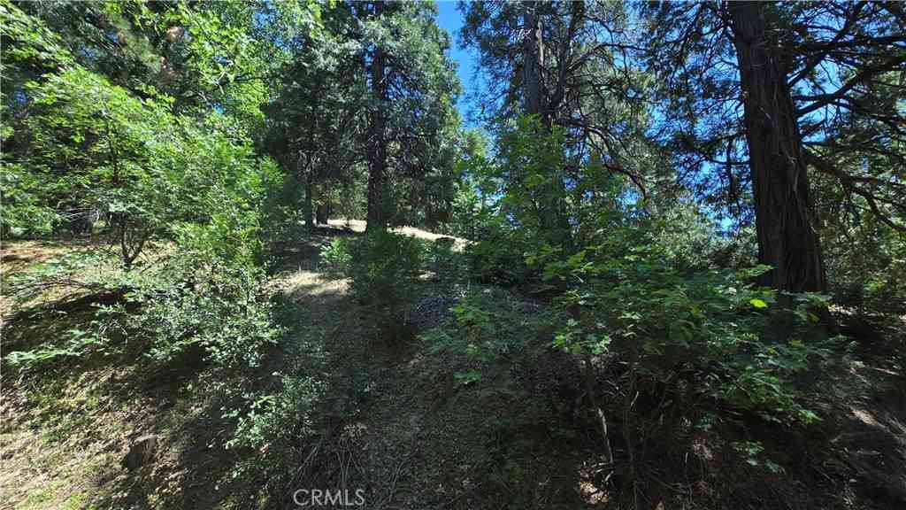 Vacant Land For Sale - 22494 Mojave River Road<br/> Cedarpines Park, CA 92322