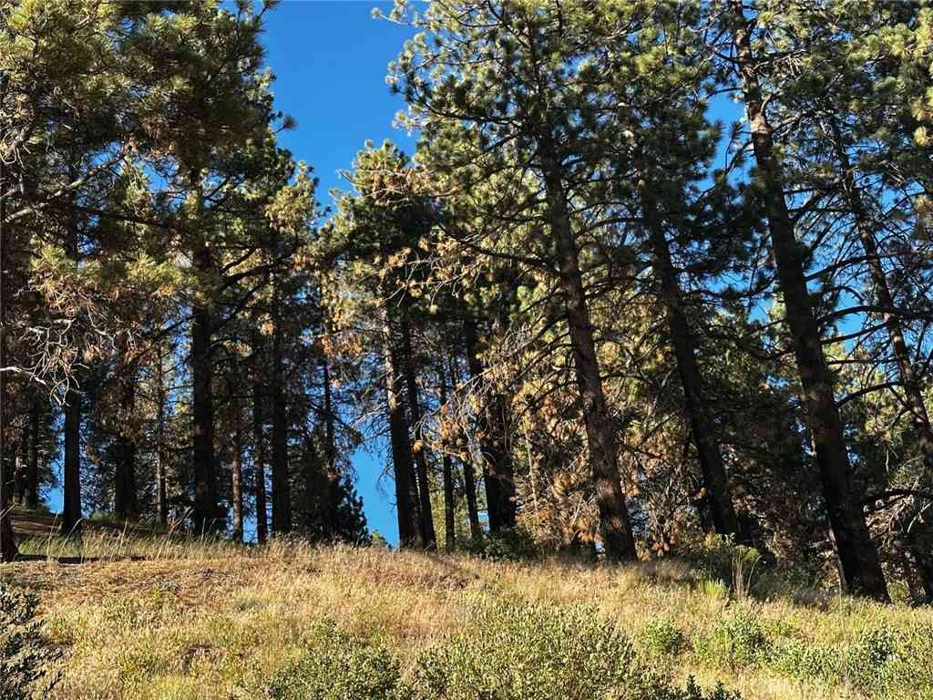 Vacant Land For Sale - 1 Conway Dr Drive<br/> Running Springs, CA 92382