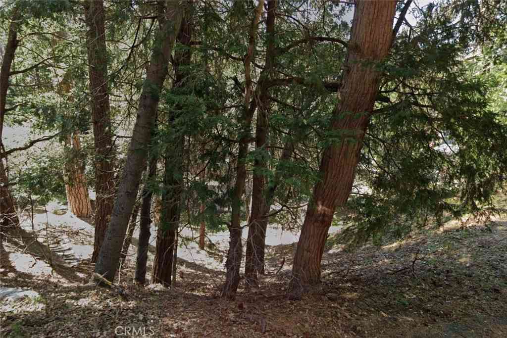Vacant Land For Sale - 1 Crest Forest Drive<br/> Cedarpines Park, CA 92322