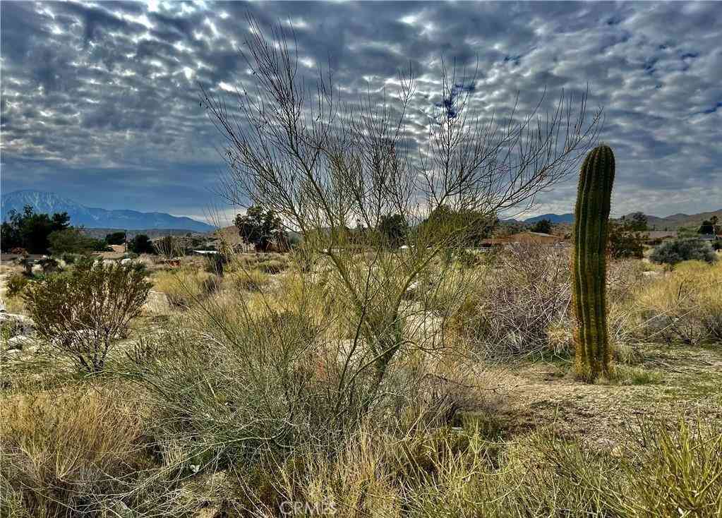 Vacant Land For Sale - 11040 Mescalero Avenue<br/> Morongo Valley, CA 92256