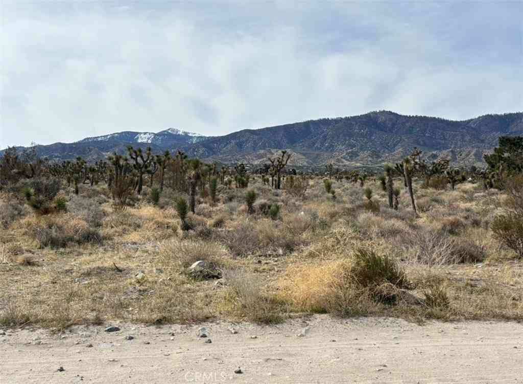 Vacant Land For Sale - Mono Road<br/> Pinon Hills, CA 92372