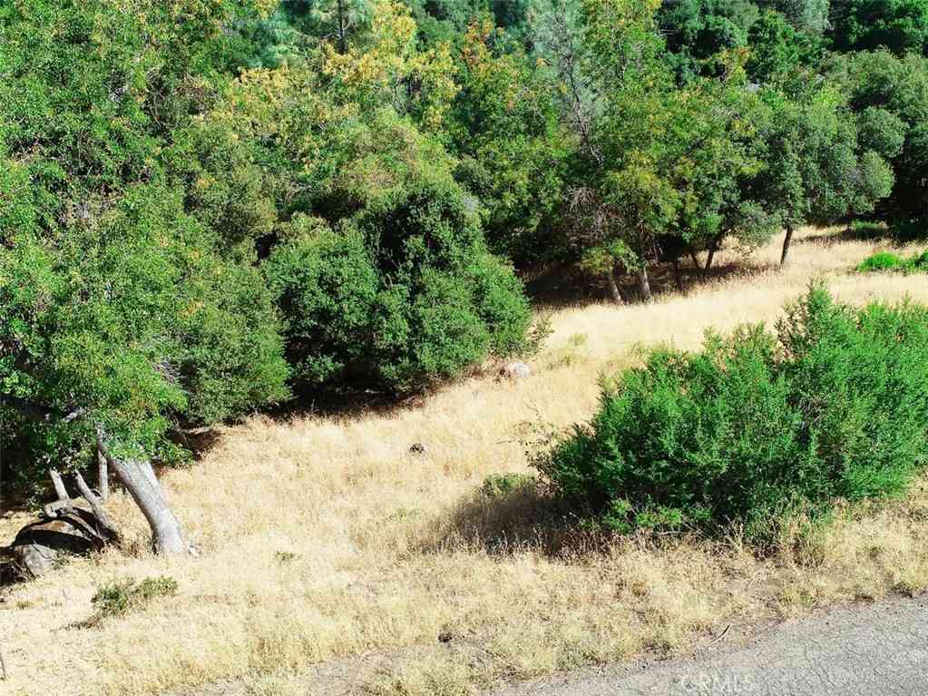 Vacant Land For Sale - 10610 Boren Bega Drive<br/> Kelseyville, CA 95451