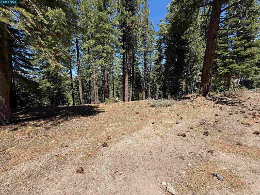 Vacant Land For Sale - 1578 Skyline Drive<br/> South Lake Tahoe, CA 96150