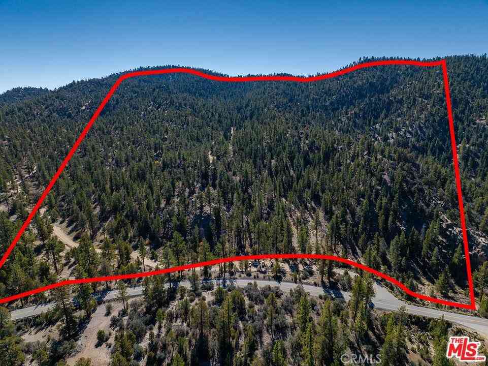 Vacant Land For Sale - Highway 38<br/> Angelus Oaks, CA 92305