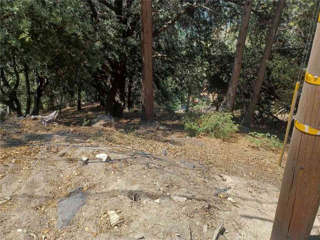 Vacant Land For Sale - Lo Lane<br/> Twin Peaks, CA 92391