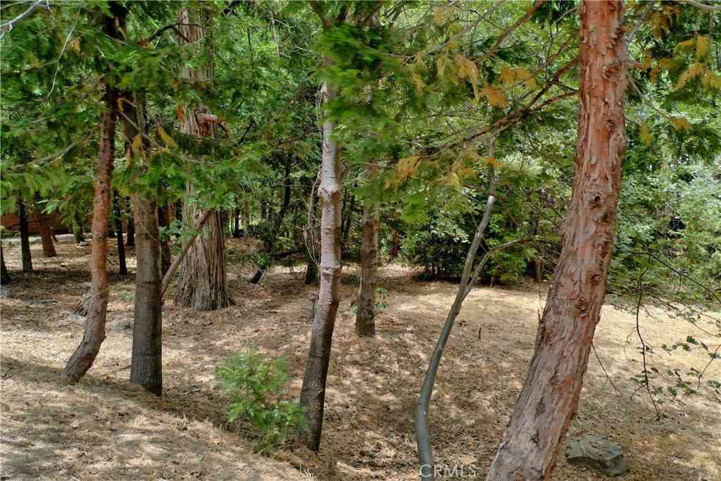 Vacant Land For Sale - 27513 Meadow Bay Drive<br/> Lake Arrowhead, CA 92352