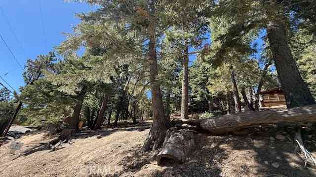 Vacant Land For Sale - 33112 Juniper Lane<br/> Green Valley Lake, CA 92341