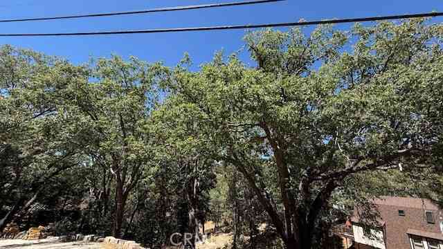 Vacant Land For Sale - 736 Dahlia Drive<br/> Green Valley Lake, CA 92341