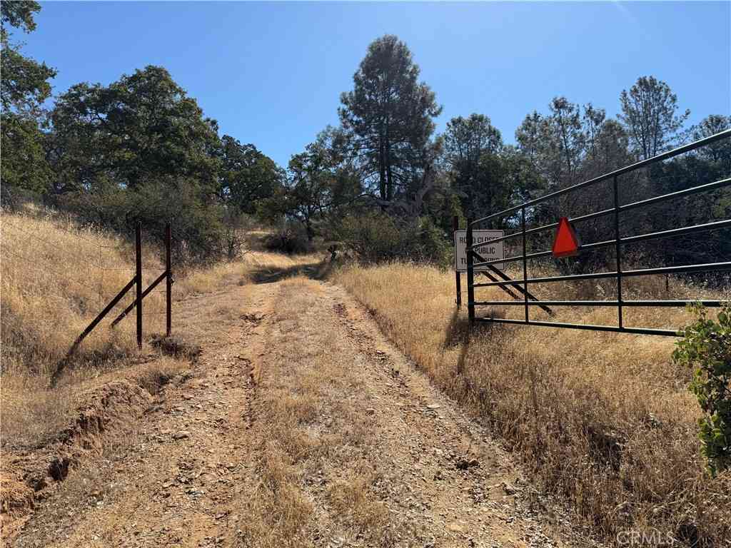 Vacant Land For Sale - 20 Bull Pine<br/> Mariposa, CA 95338