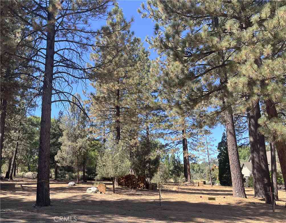 Vacant Land For Sale - 2613 Teakwood Court<br/> Kern County, Pine Mountain Club, CA 93222