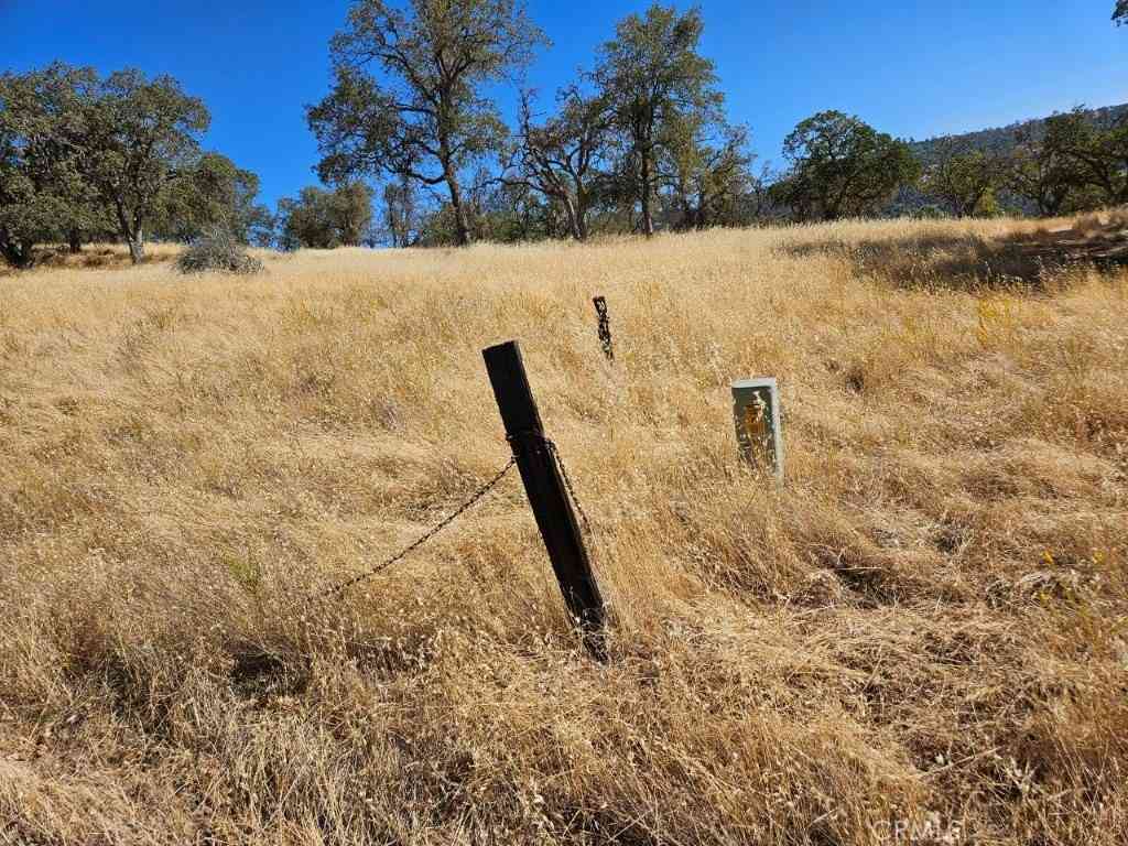 Vacant Land For Sale - 5640 Blue Oak Ridge Road<br/> Mariposa, CA 95338