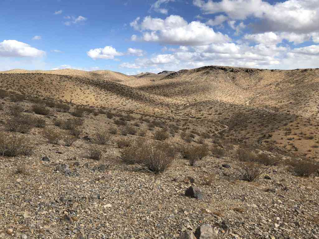 Vacant Land For Sale - Cal Electric Road<br/> Barstow, CA 92311