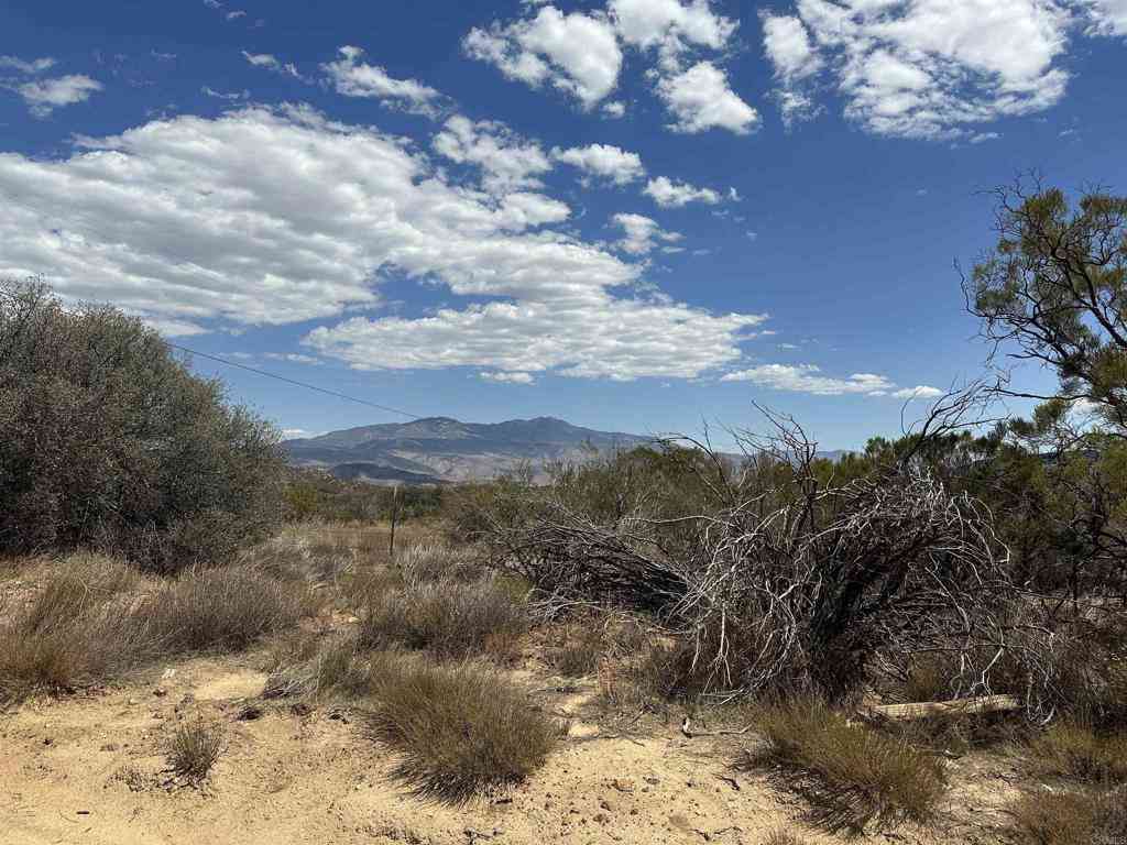 Vacant Land For Sale - 59125 Rimrock Canyon Road<br/> Anza, CA 92539