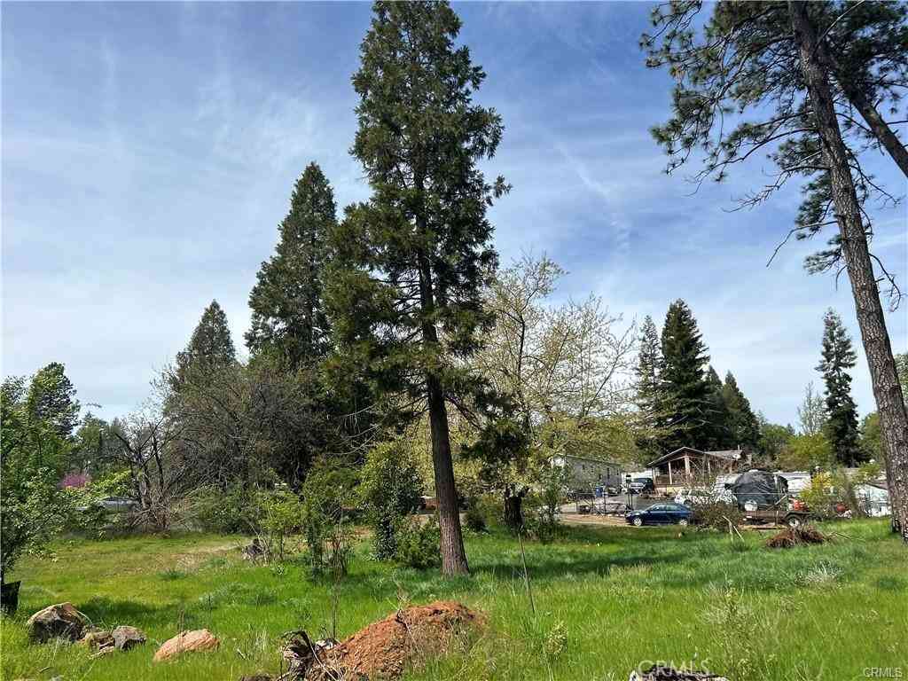 Vacant Land For Sale - 1616 Walnut Lane<br/> Paradise, CA 95969
