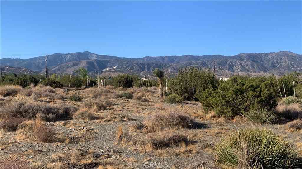 Vacant Land For Sale - Yucca Terrace<br/> Pinon Hills, CA 92372