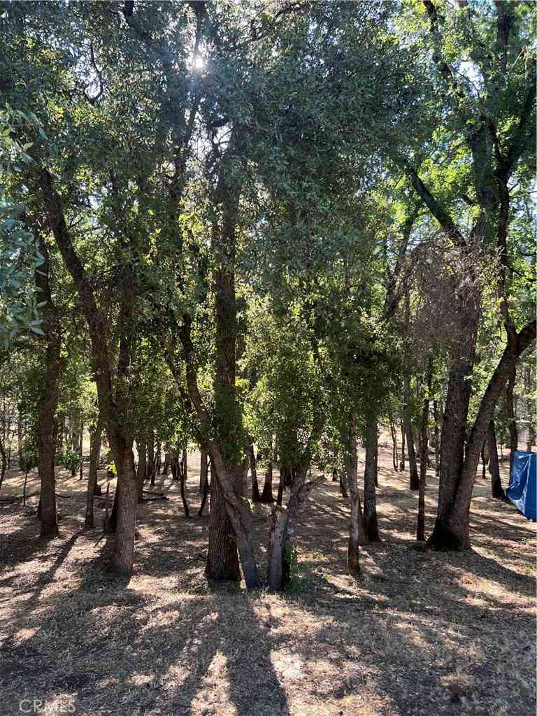 Homes For Sale - 5723 Inca Way<br/> Kelseyville, CA 95451