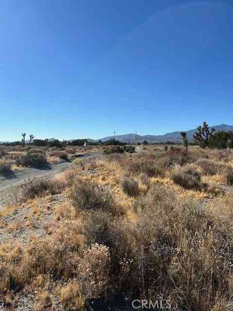 Vacant Land For Sale - Calaveras<br/> Pinon Hills, CA 92372