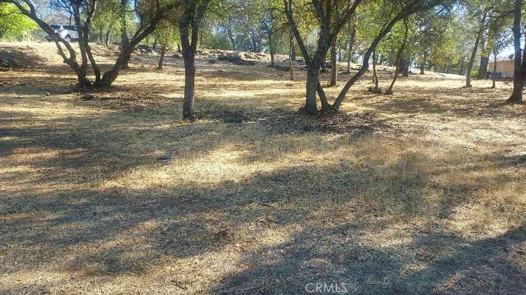 Vacant Land For Sale - 307 Lodgeview Drive<br/> Oroville, CA 95966