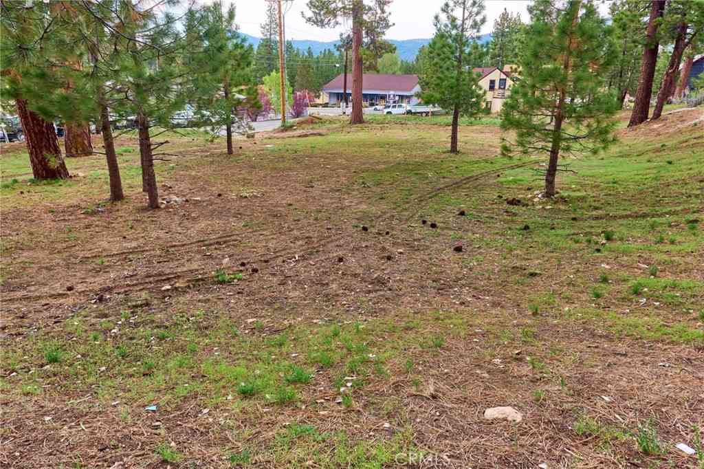 Vacant Land For Sale - 545 Wren Drive<br/> Big Bear Lake, CA 92315