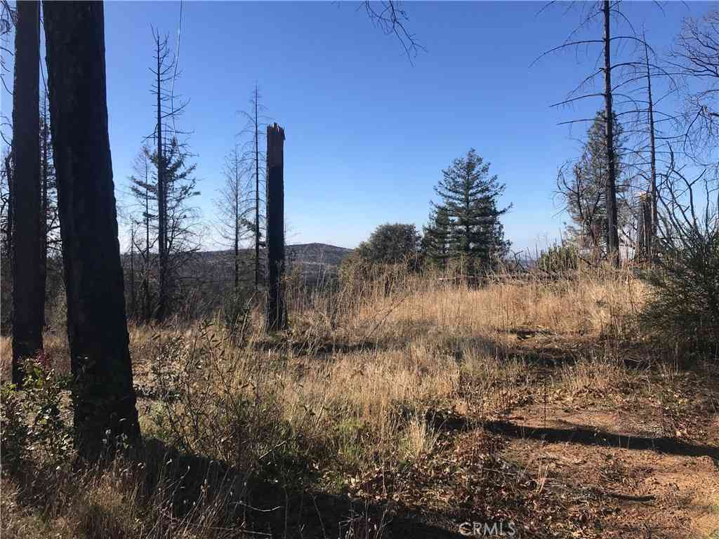 Vacant Land For Sale - Kaelin<br/> Berry Creek, CA 95916