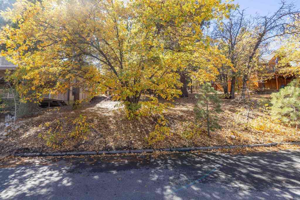 Vacant Land For Sale - 1409 Klamath Road<br/> Big Bear, CA 92314