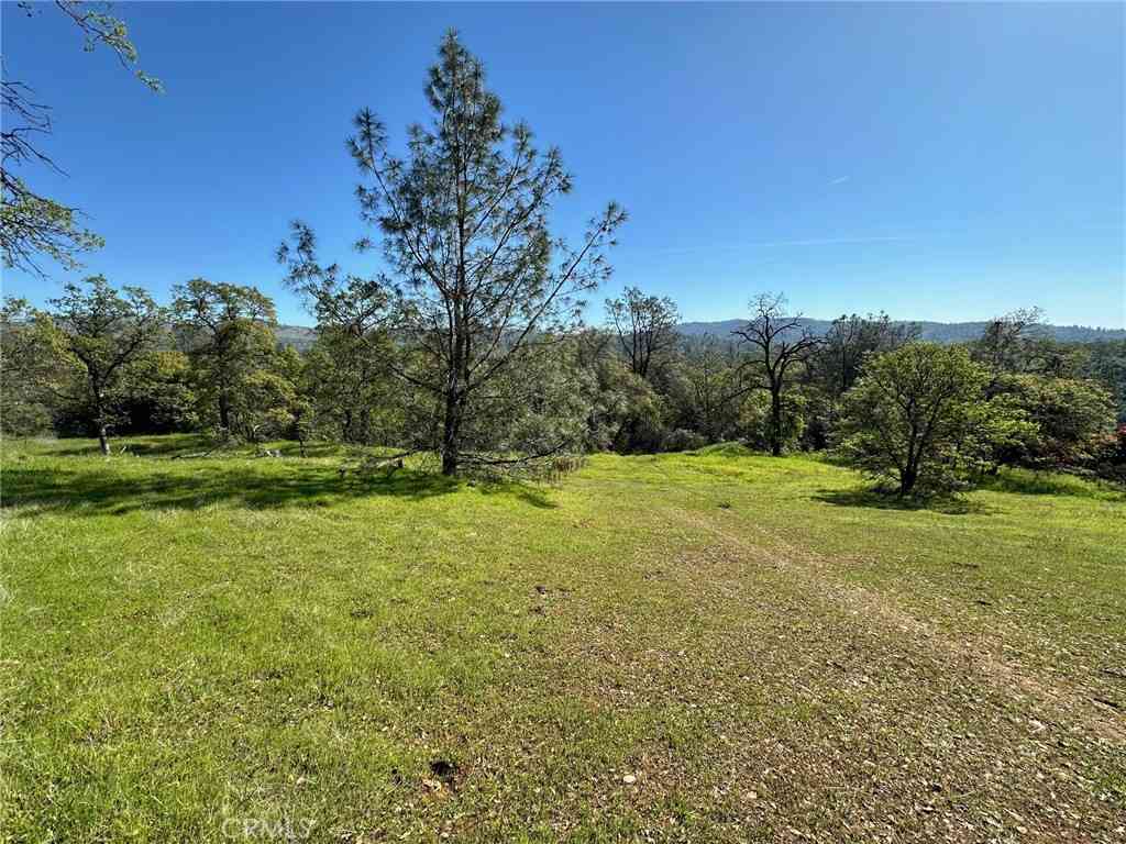 Vacant Land For Sale - 169 Shady Oak Drive<br/> Oroville, CA 95966