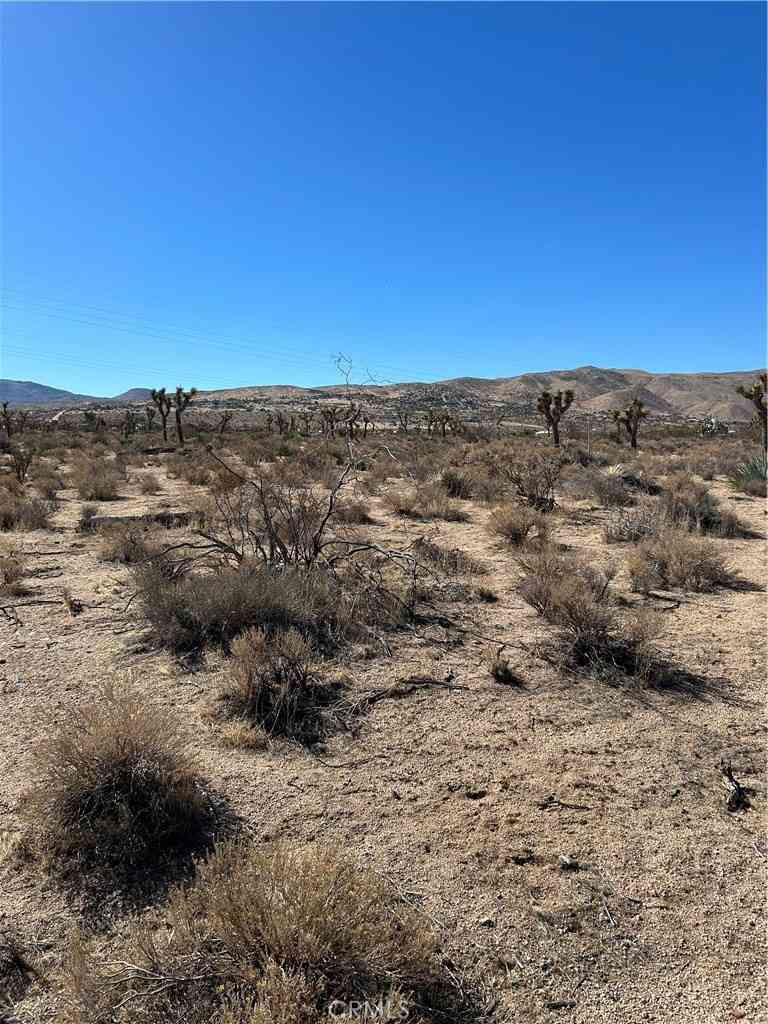 Vacant Land For Sale - 172062 Poppy Rd<br/> Apple Valley, CA 92308