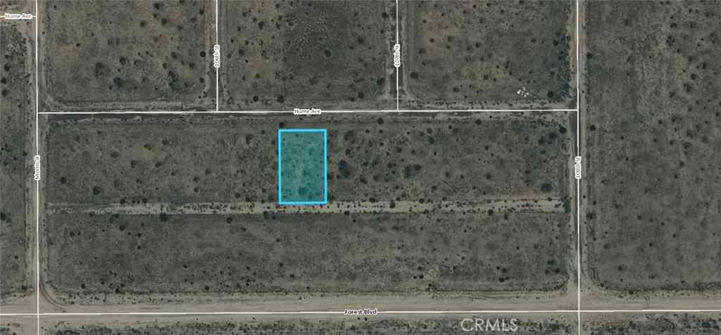 Vacant Land For Sale - 11 Hume Avenue<br/> California City, CA 93505