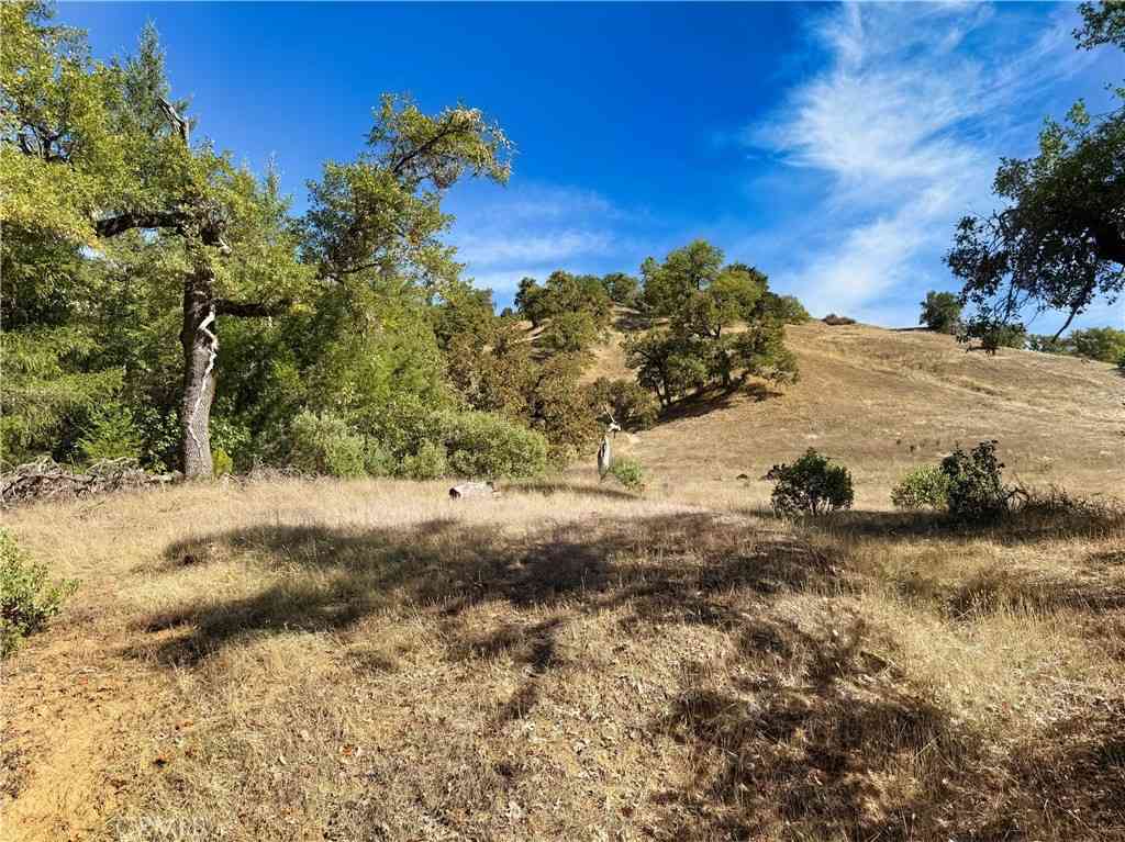 Vacant Land For Sale - 18225 Scenic Drive<br/> Redwood Valley, CA 95470