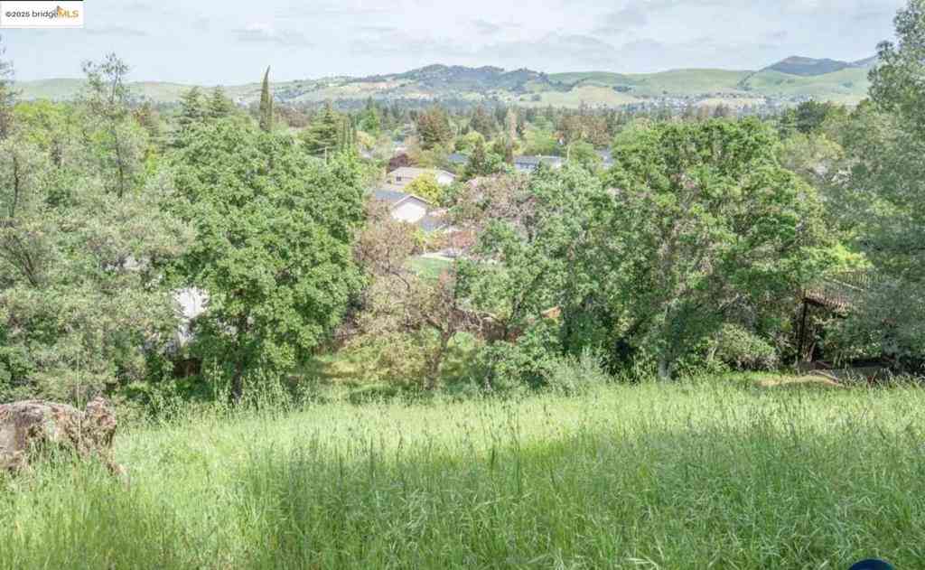 Vacant Land For Sale - 1032 Millbrook Ct<br/> Walnut Creek, CA 94598
