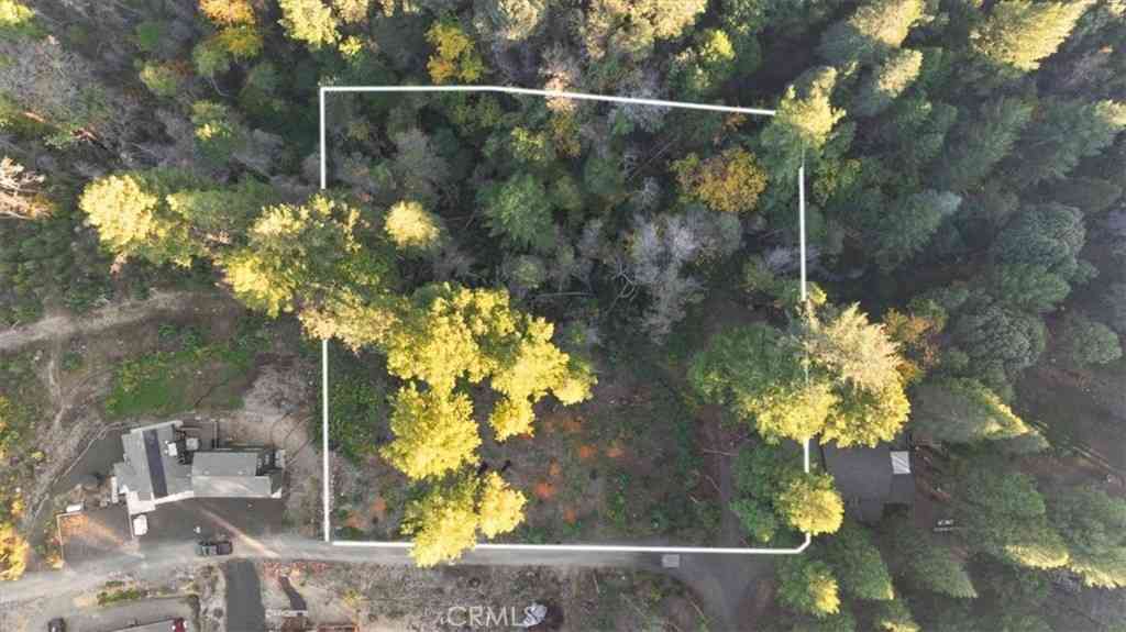 Vacant Land For Sale - Path In The Woods<br/> Berry Creek, CA 95916