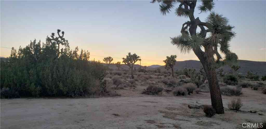 Vacant Land For Sale - 1234 Canton Street<br/> Yucca Valley, CA 92284