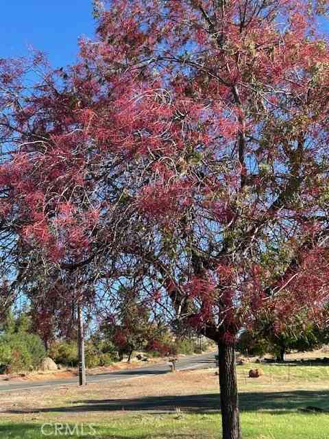 Vacant Land For Sale - 3898 Neal<br/> Paradise, CA 95969