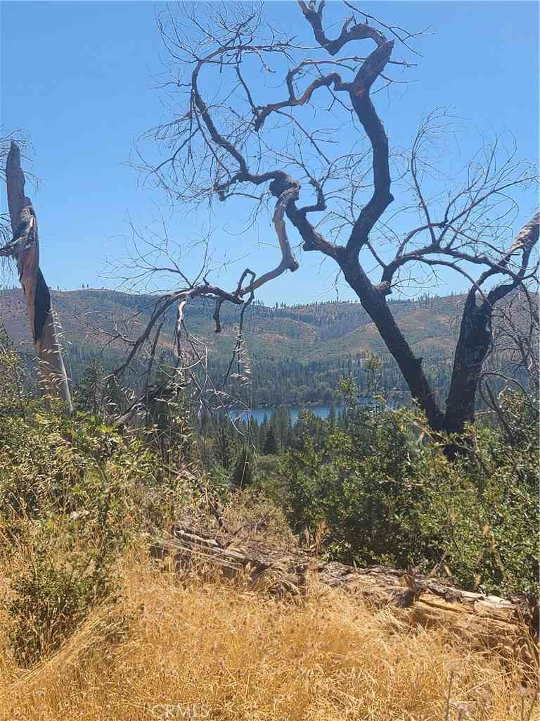 Vacant Land For Sale - Hog Ranch Road<br/> Concow, CA 95965