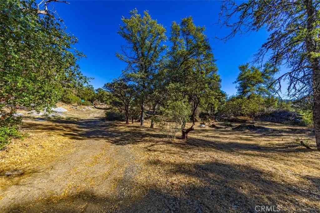 Vacant Land For Sale - 4200 Silver Lane Road<br/> Mariposa, CA 95338