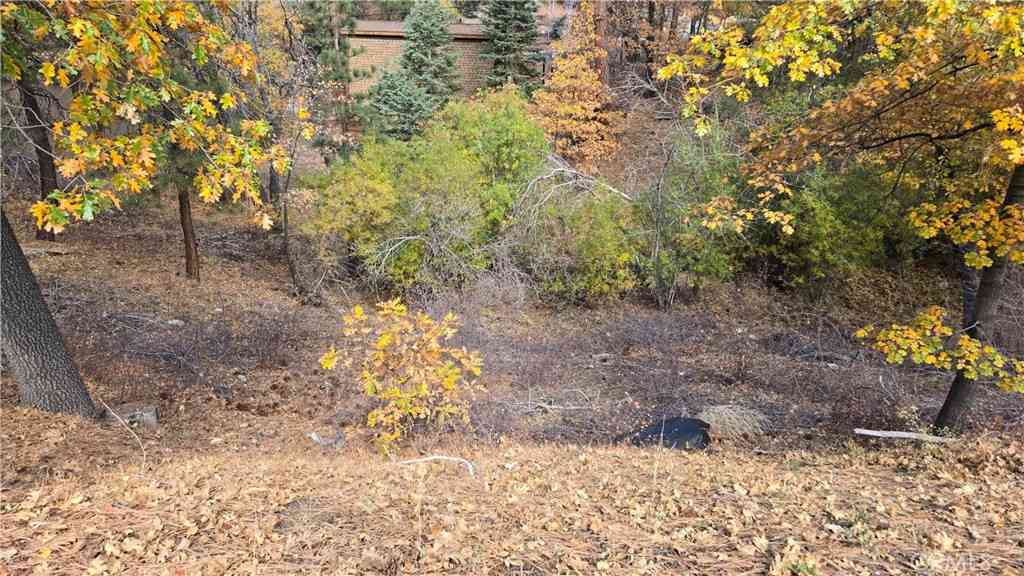 Vacant Land For Sale - 1000 Butte Avenue<br/> Big Bear, CA 92314
